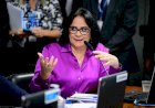 Comissão de Educação vota criação do Dia Nacional de Combate ao Estupro